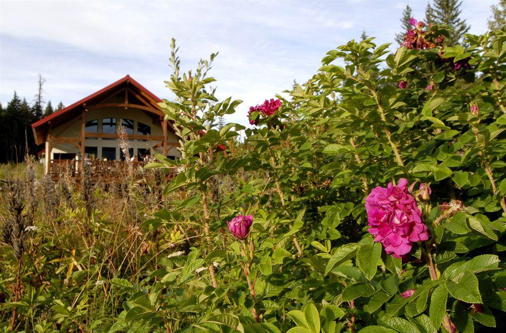 Heather Mountain Lodge Rogers Pass Exteriér fotografie